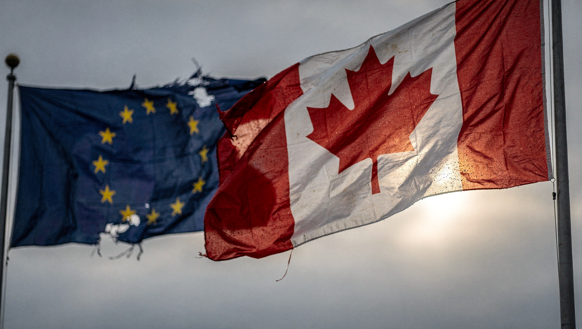 Trump excluye a Canadá de contratos federales