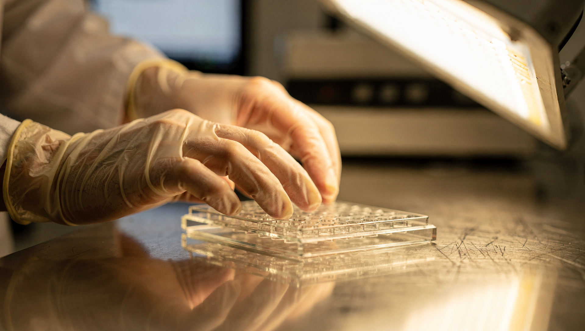 Illumina salta a máximos anuales tras upgrades que ven inflexión clínica