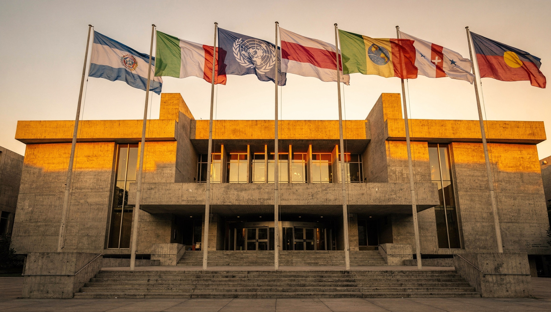 FMI función: prestamista de emergencia y supervisor monetario global